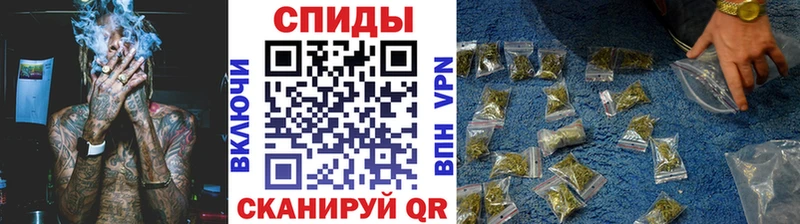 купить   Пионерский  Бутират буратино 