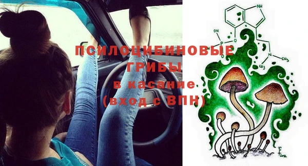 соль курить ск Богородск